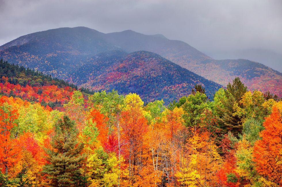 Best Fall Festivals in the US