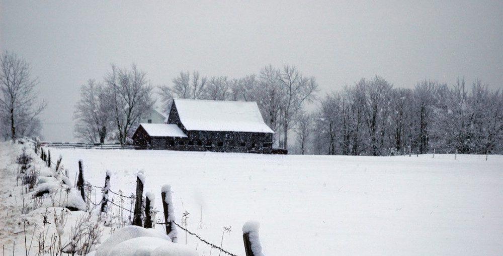 Benefits of Soup in Winter